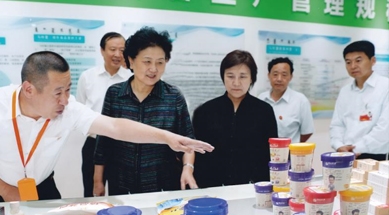 原中共中央政治局委員、國(guó)務(wù)院副總理劉延?xùn)|視察我公司